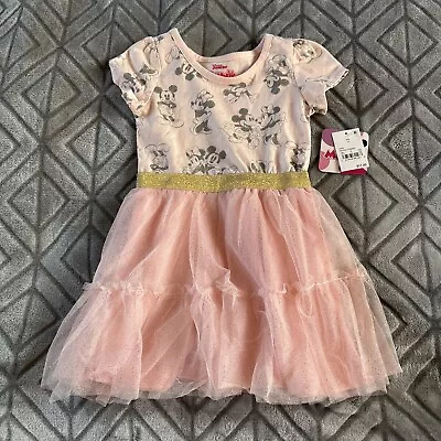 Disney Minnie Mouse Pink With Gold Trim Tutu Dress Girls Size 3T • $14