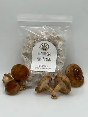 Shiitake Mushroom Plug Spawn 100x- FREE USA Shipping • $12.50