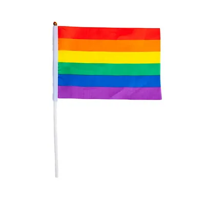 Pride Waving Flag Gay Lesbian LGBTQ+ Summer Festival Small Handeld 21x14 Rainbow • £1.99