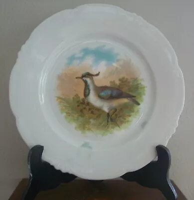 Habsburg China (Austria) Victorian Era HP Game Bird Plate - Vintage RARE • $13.40