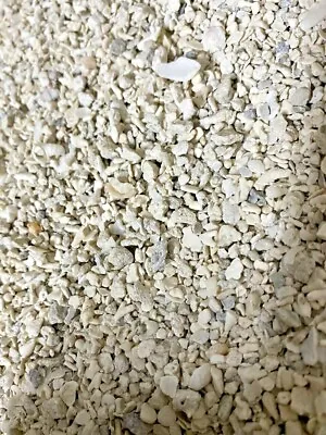 100% Aragonite Coral Shell-sand Tropical Reef Marine-cichlid-aquarium-gravel • £8.15