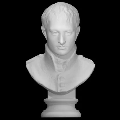 Napoleon Bonaparte Bust • £28.67