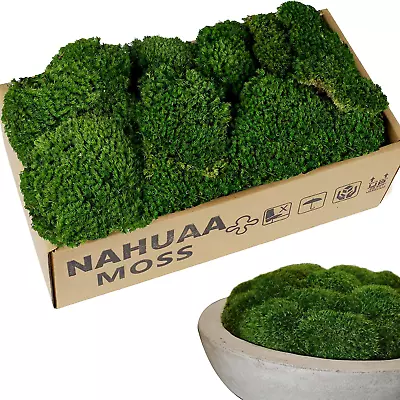 2.15 Sq.Ft Preserved Moss Bulk Green Moss For Potted Plants Preserved Pole Mos • $62.99