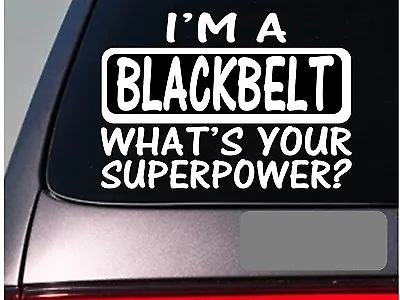 I'm A Blackbelt Sticker Decal *E149* Karate Mma Kickboxing Judo Belt • $3.39