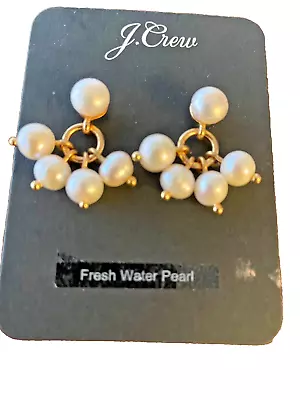 J.Crew Drop -- Fresh Water Pearl Earrings-NWT • $15