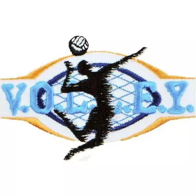 Volleyball Sport Embroidered Iron-on Applique/Patch - Multi Colors • $2.99