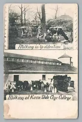  Modern Milking  Manhattan KANSAS STATE University Agricultural College Farm '09 • $12.99