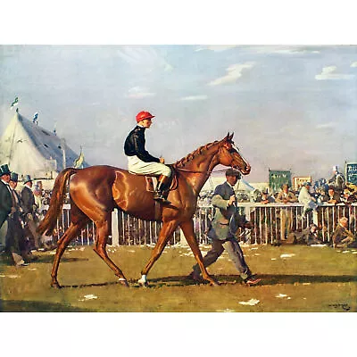 Sir Alfred James Munnings Racehorse Jockey 1924 Large Wall Art Print 18X24 In • £15.99