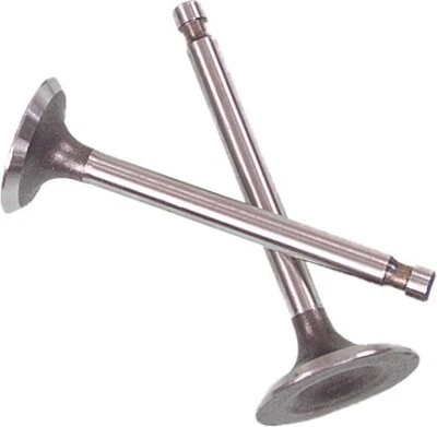 $27.69 • Buy Shindy Intake/Exhaust Valve Set #07-205 Fits Suzuki QuadRunner 250/KingQuad 300