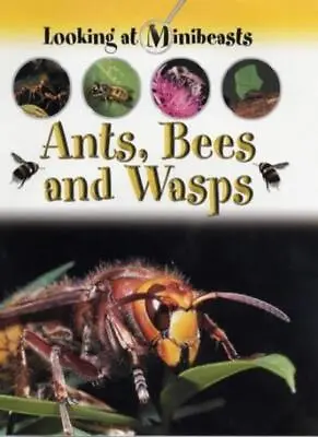 Ants Bees And Wasps (Looking At Minibeasts)Sally Morgan- 97818 • £4.66