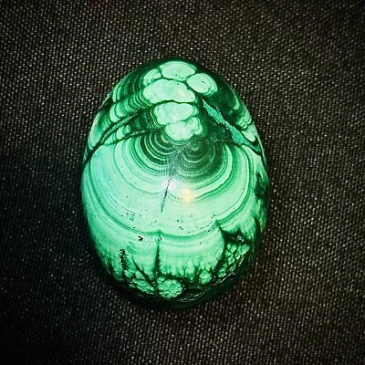 Amazing Green Malachite Egg With Beautiful Markings High Quality 115 Gms - MAL22 • $45