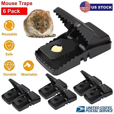 6Pcs Reusable Rat Traps Rodent Snap Trap Mice Chipmunk Catcher Killer Jaw Design • $17.07