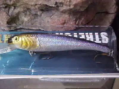 Mann's Textured Stretch 20+ BIGFISH Cast/Trolling Lure T20-09 In Color SMELT • $15.60