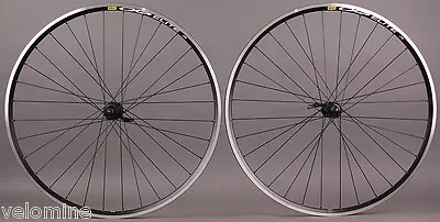 Mavic CXP Elite Miche Primato Hubs Road Bike Wheelset Rim Brake Shimano HG • $329