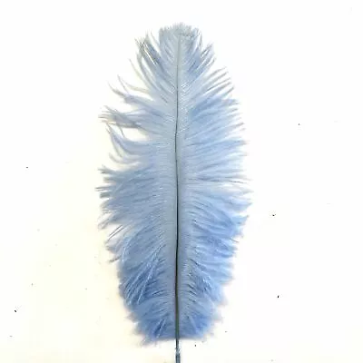 Ostrich Feather Drab 6-15cm X 20 - Light Blue • $7.95