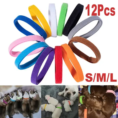Set Of 12 Puppy Adjustable Collars Welping ID Bands Newborn Dog Kitten Pet Tags • £3.79