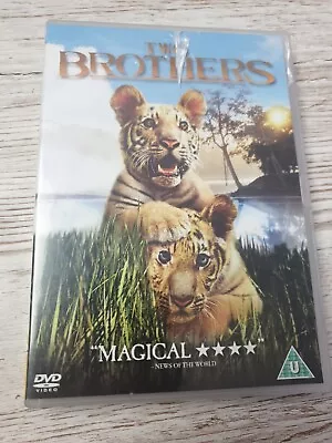 £2.99 • Buy Two Brothers (DVD, 2004) 