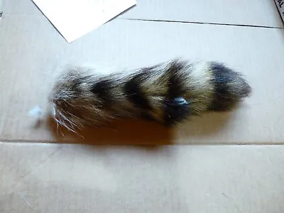 REAL Tanned RACCOON TAIL Fur Pelt Skin FLY TYING Native Craft Supply MAN CAVE 2 • $9.50