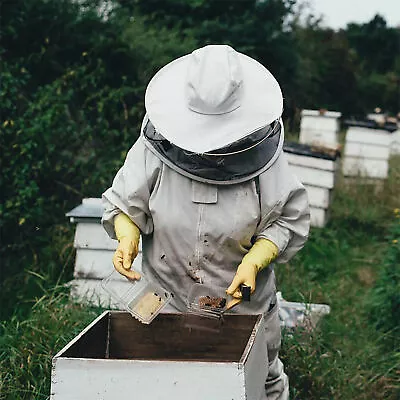 Hive Beekeeping Suit Beekeeping Bee Protective Clothing Beekeeping Suit XL • $42.53