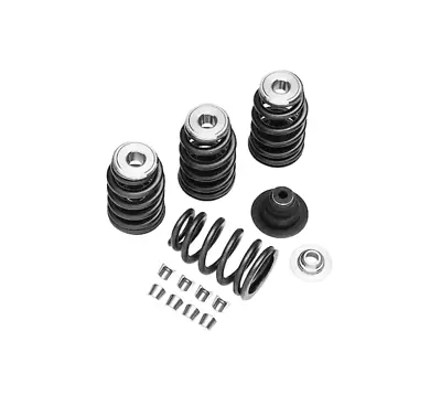 Genuine Harley-Davidson Screamin' Eagle Performance Valve Spring Kit 18013-03A • $161.64