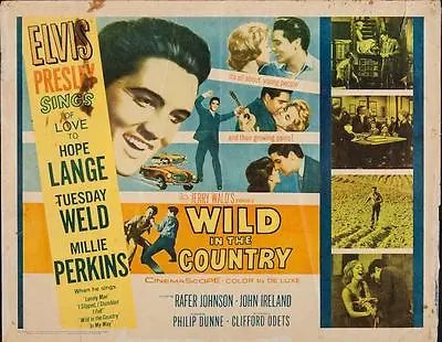 WILD IN THE COUNTRY Half Sheet Movie Poster 22x28 ELVIS PRESLEY. Vintage 1961 • $100