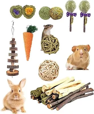 31pcs Chew Toys Xmas Set For Rabbit Guinea Pig Hamster Chinchillas Small Animal • £10.26