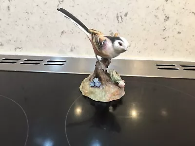 £55 • Buy English Royal Crown Derby Long Tailed Tit Bone China 1981 Immaculate