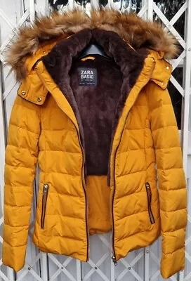 $60.99 • Buy Bnwot Zara Fur Hooded Jacket Coat Size Xs 8 Puffa Anorak Mustard Rare