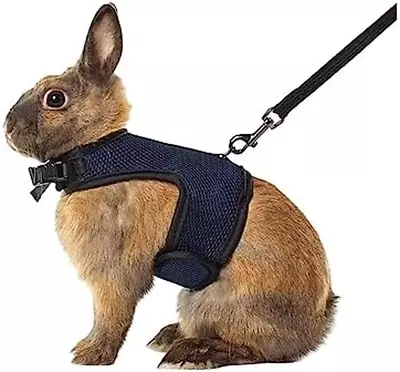 Rabbit Harness And Leash Set - Adjustable Escape-Proof Training And Walking Gear • $12.98