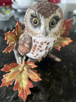 $17.90 • Buy Lenox Garden Birds  Saw Whet Owl  Figurine Porcelain Collectible