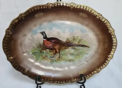 Carl Tielsch (C.T.) Ring-Necked Pheasant Platter 16.5  Germany 1887-1900 VGUC • $139