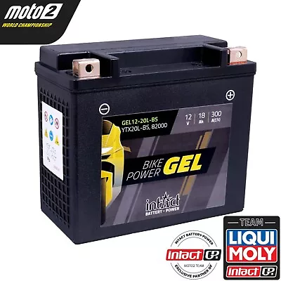 YTX20L-BS Gel Battery FITS HARLEY DAVIDSON 1600 Fat Boy 1450 Softail 1600 1800 • £97.99