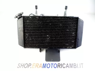 $192.29 • Buy Radiator Water Cooling Liquid With Accessories SUZUKI DL V-Strom 650 2004