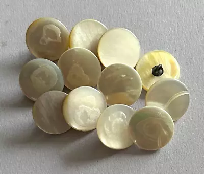 12 Antique Vintage White Mother Of Pearl Buttons W/Metal Shanks • $6.95