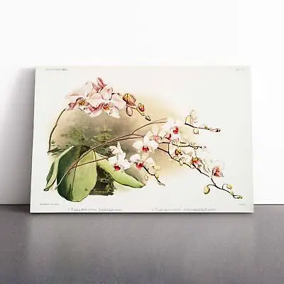 Magnolia Flowers Illustration Tab. 68 F. Sander Canvas Wall Art Print Framed • $31.51