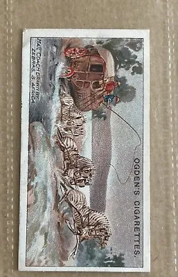 Ogdens Cigarette Card - Royal Mail - No. 17 The Mashonland Zebra Mail Team • £3.50