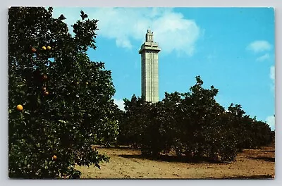 Clermont Florida Citrus Observation Tower Orange Grove FL Vintage Postcard View • $5.95