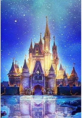 $13.95 • Buy Aus Seller..DIY 5D DIAMOND PAINTING..DISNEY CASTLE..30x40cm  Full Drill