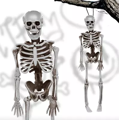 Twin Pack 40cm Skeleton Hanging Human Halloween Party Prop Haunted House Decor • £6.27