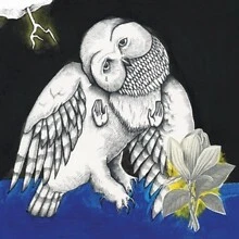 £13.61 • Buy Songs  Ohia - The Magnolia Electric Co 10th Anniversary Deluxe Editi - D1398A