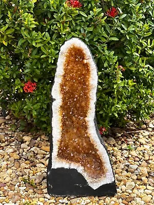 X-Large Citrine Cathedral Citrine Geode Honey Citrine Cluster Pick A Weight • $271.95