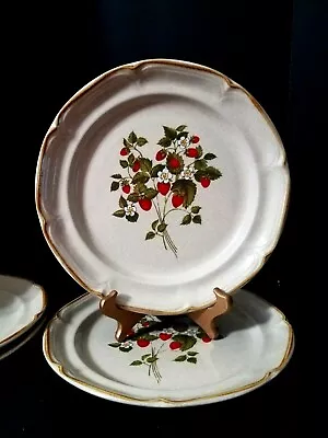 INTERNATIONAL ENDURA LA FRAISE STONEWARE (2) 10.5  Dinner Plates Strawberries VE • $23.92