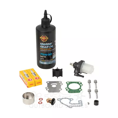 Yamaha Annual Service Kit With Oils For 15hp 2 Stroke 1984-1995 Outboard • $149.52