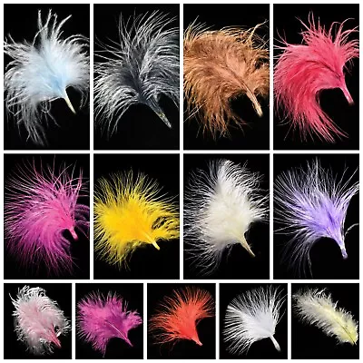 Loose Feathers Fascinator Cake Topper Florist Craft Decoration Balloon Bauble • £1.89