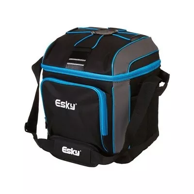 Esky 30 Can Soft Insulated Cooler Bag Portable Ice Chiller Camping Picnic AUS • $38.95