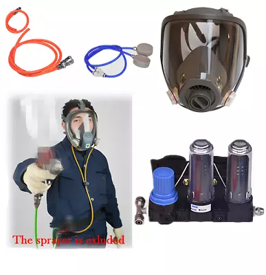 Full Face Gas Mask Flow Supplied Air Fed Chemical Spray Painting Respirator AU • $155.99