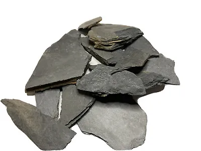 1 Lb  SLATE Chips For Mosaics Crafts Yard Decor Flower Bed Landscaping • $8.50