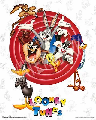 Looney Tunes Metal Fridge Magnet 2.7x4 Inches 8821 • $5.95