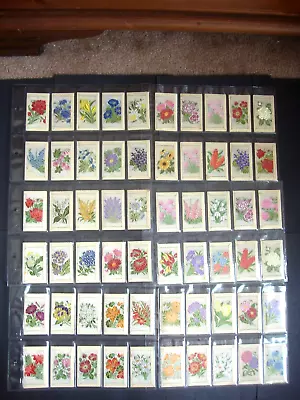 Kensitas Flower Card Silk's -  Mixed Series Of 60 Card's - Vg/con. • £37.99