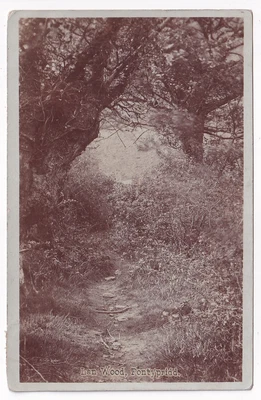 £4 • Buy LAN WOOD  PONTYPRIDD C1908